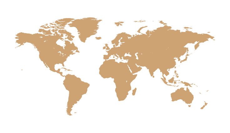 Marketing Network